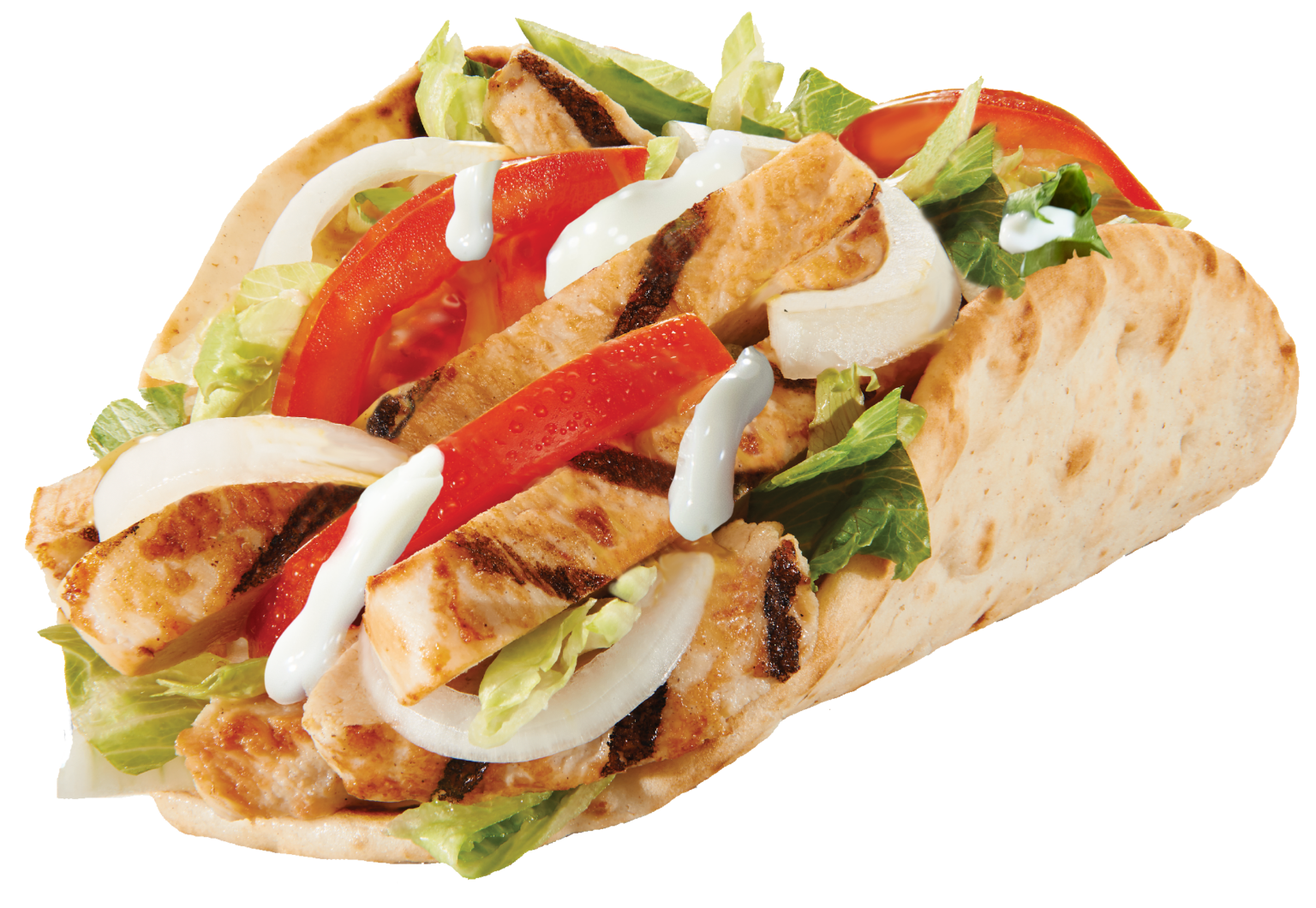 Chicken or Turkey Pita